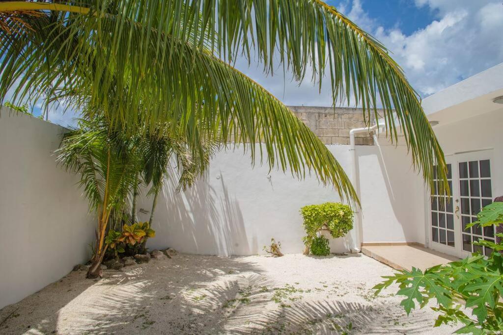 Vila Casa Itzamna Cozumel Exteriér fotografie